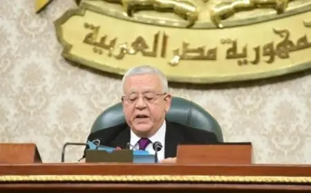 رئيس مجلس النواب يؤكد ضرورة حل القضية الفلسطينية لتحقيق الاستقرار الإقليمي والعالمي