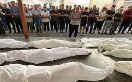 استشهاد أربعة فلسطينيين برصاص الاحتلال أثناء انتظارهم المساعدات في رفح جنوب قطاع غزة