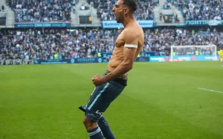 الاتفاق يضم المصري المخضرم أحمد حسن “كوكا”