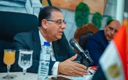 نبيل حبشي يعلن عن بدء تصويت المصريين بالخارج في انتخابات الشيوخ منتصف ليل اليوم