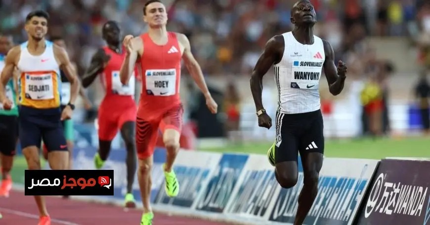الدوري الماسي.. أانيوني يتصدر سباق 800 متر والجزائري سجاتي يحل ثالثاً