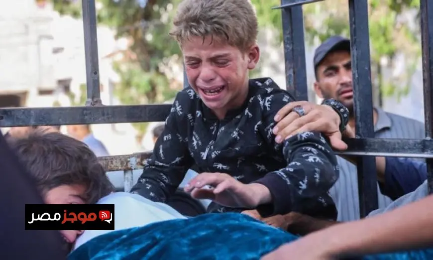 استشهاد 11 فلسطينيا في قصف الاحتلال لمتظاهري المساعدات جنوب غزة