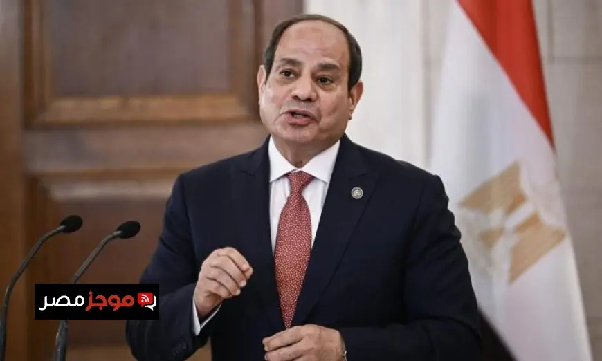وزير الخارجية يسلم رسالة خاصة من الرئيس السيسي إلى رئيس نيجيريا