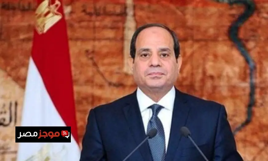 الرئيس السيسي يشدد على أهمية تحسين البيئة الاستثمارية لتعزيز إنتاج البترول والغاز