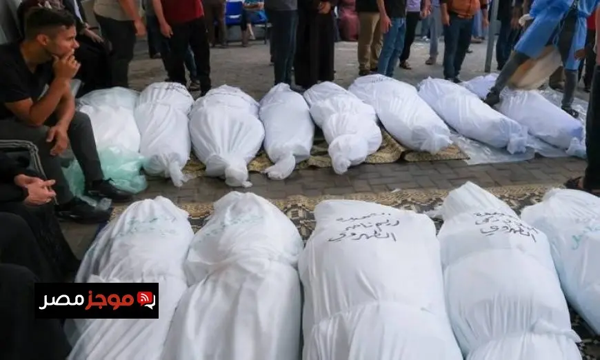 شهداء غزة يرتفعون إلى 59106 والإصابات تصل إلى 142511 منذ بداية العدوان