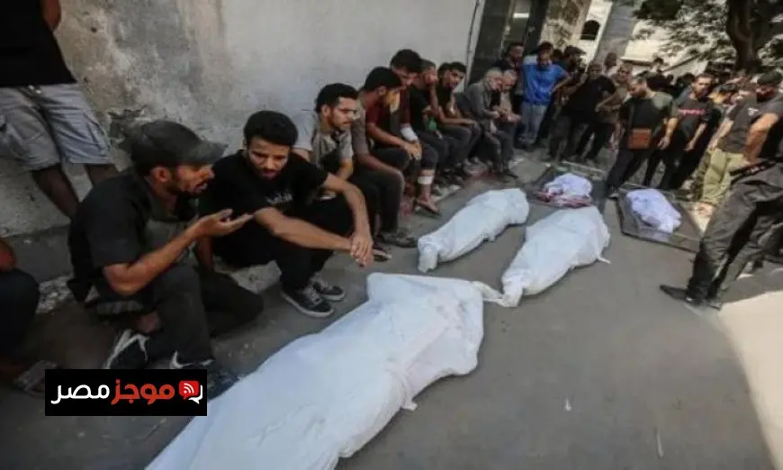 حصيلة العدوان الإسرائيلي على غزة تصل إلى 59219 شهيدًا وسط تصاعد المعاناة الإنسانية