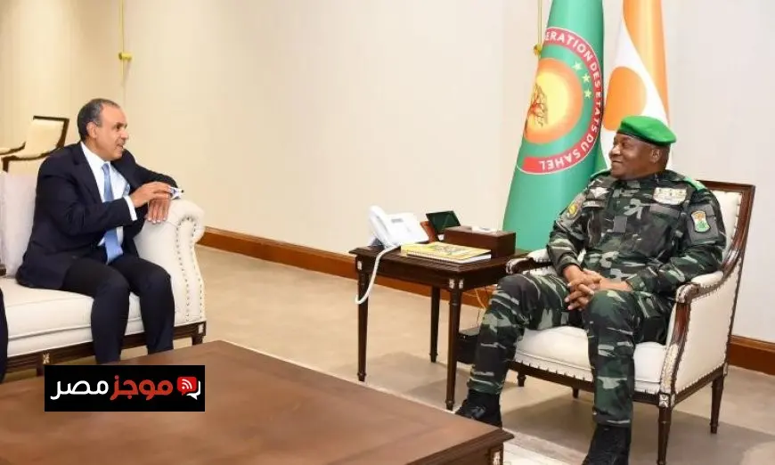 وزير الخارجية والهجرة ينقل رسالة هامة من الرئيس السيسي إلى رئيس النيجر