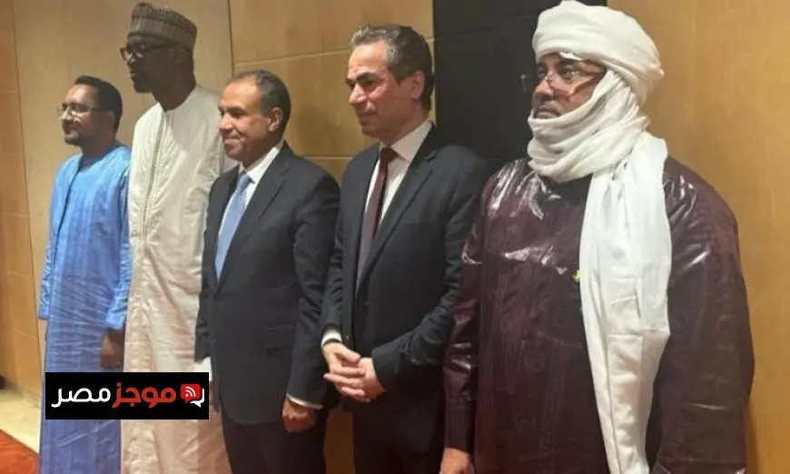 المسلماني يؤكد أن الأمن الحضاري للعالم الإسلامي ينطلق من تمبكتو في مالي