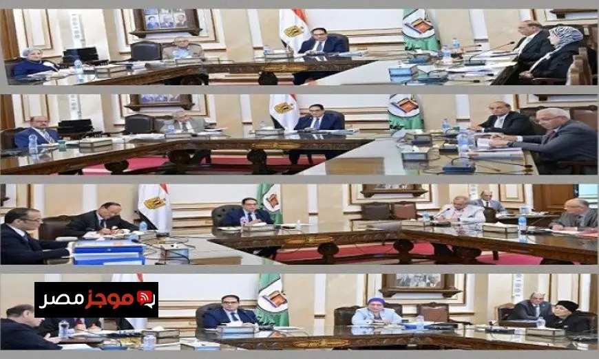 لجان ترشيح المتقدمين لمنصب عميد كليات جامعة القاهرة تكمل أعمالها بنجاح