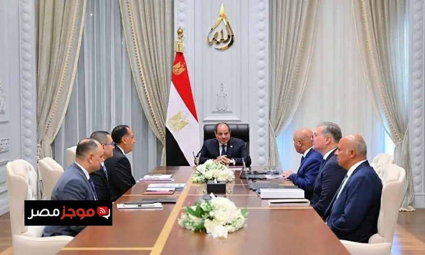 الرئيس السيسي يبرز دور مشروعات البتروكيماويات والصناعات التعدينية في التنمية الاقتصادية