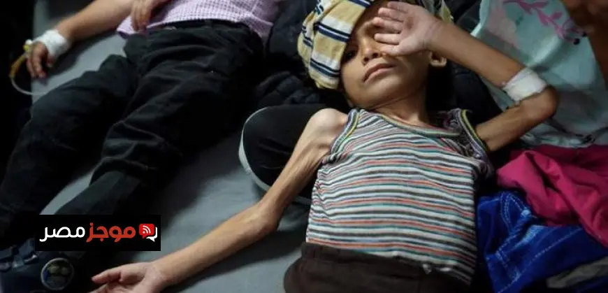 “الأعلى للإعلام”: حفظ شكوى “المهن الموسيقية” ضد طارق الشناوى وخالد أبو بكر