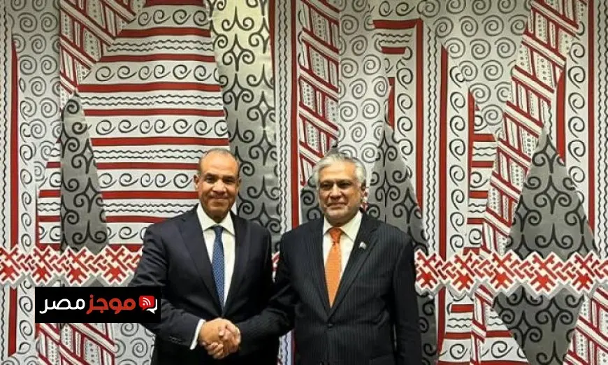 عبد العاطي يثني على التعاون المثمر بين مصر وباكستان في مجالات متعددة