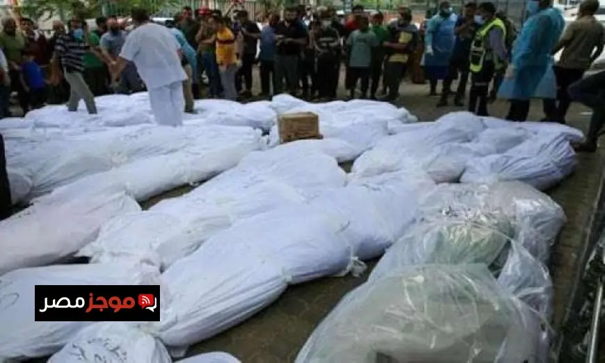 حصيلة الشهداء في غزة تصل إلى 59921 والإصابات تتجاوز 145233