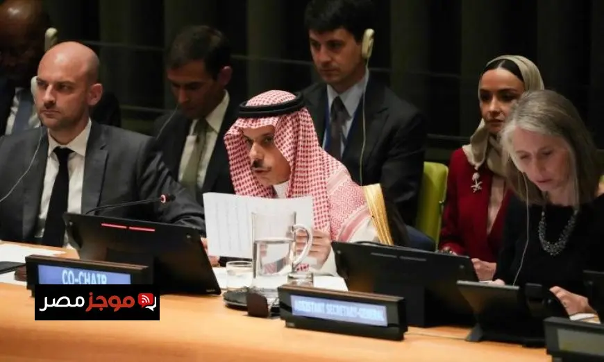 وزير الخارجية السعودي يؤكد أن حل الدولتين هو السبيل لاستقرار المنطقة