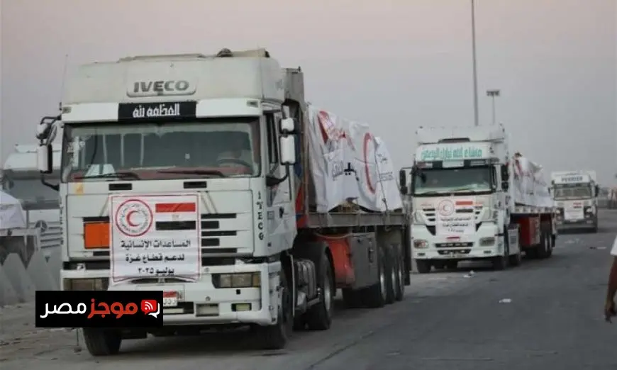 دخول ثالث قوافل زاد العزة من مصر إلى غزة محملة بـ1300 طن من المساعدات الإنسانية