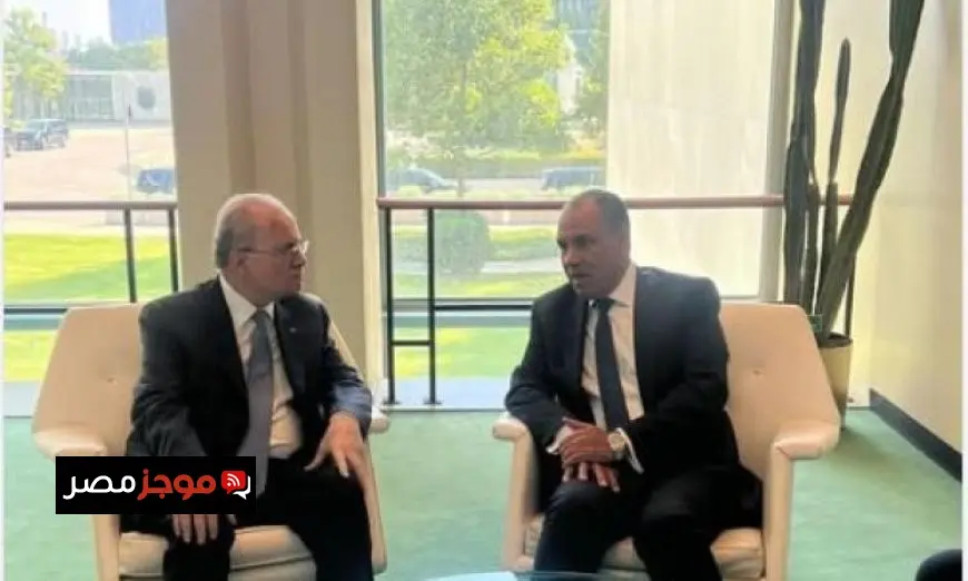 عبد العاطي يشدد على التزام مصر بالوساطة لوقف إطلاق النار في غزة