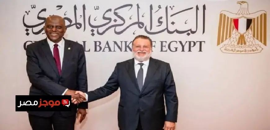 محافظ البنك المركزى يبحث مع نظيره النيجيرى سبل تعميق التعاون المشترك بين البنكين