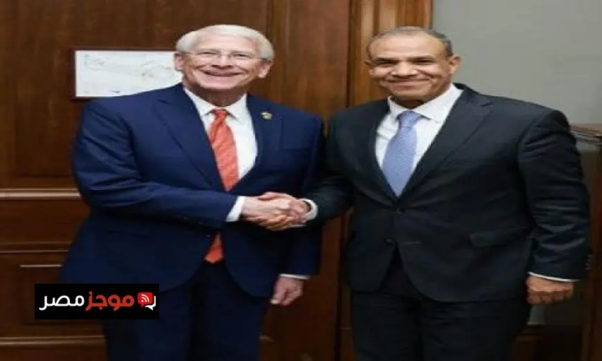 وزير الخارجية يؤكد التزام مصر باتخاذ جميع التدابير لحماية أمنها المائي