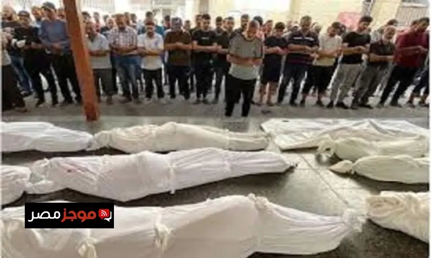 استشهاد أربعة فلسطينيين برصاص الاحتلال أثناء انتظارهم المساعدات في رفح جنوب قطاع غزة