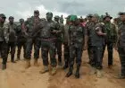 جيش الكونغو يوجه نداءً للجماعات المسلحة في إقليم إيتوري للتخلي عن السلاح