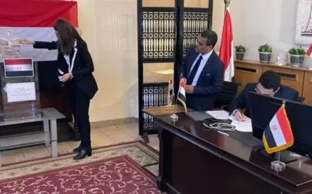 استعدادات حثيثة من البعثات المصرية بالخارج لتسهيل عملية المشاركة في انتخابات مجلس الشيوخ