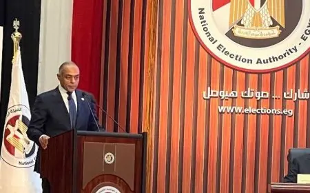 مدير الوطنية للانتخابات يعلن تجهيز المقرات الانتخابية في الخارج بتقنيات حديثة ومتطورة