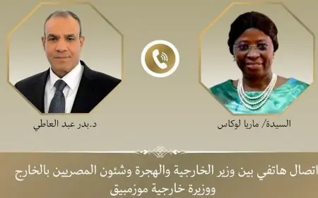 وزير الخارجية يتناول التحديات الأمنية والتنموية مع نظيرته في موزمبيق لتعزيز التعاون القاري