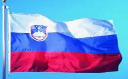 سلوفينيا أول دولة فى الاتحاد الأوروبى تحظر تصدير واستيراد الأسلحة مع إسرائيل