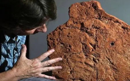 سوريا تشكل لجنة للتحقيق فى أعمال العنف فى السويداء