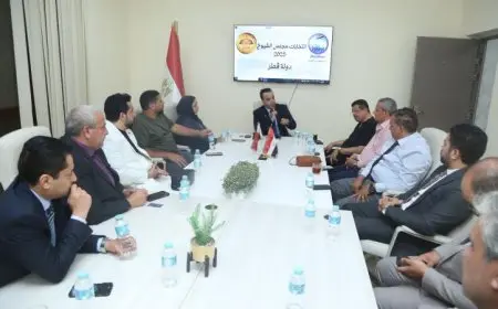 أمانة المصريين بالخارج بمستقبل وطن تراقب مشاركة الجاليات في انتخابات الشيوخ