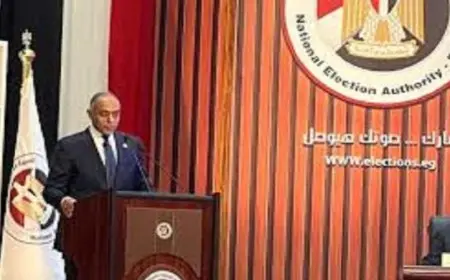 الهيئة الوطنية للانتخابات تؤكد سير العملية الانتخابية في اللجان الخارجية بشكل ممتاز