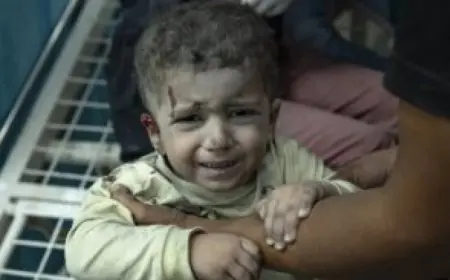 13 طفلاً جريحًا ومريضًا من غزة يصلون المستشفيات الإسبانية للعلاج