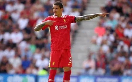 الهلال يتجه نحو نونيز وليفربول مستعد للبيع بشكل نهائي