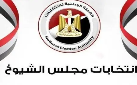 المصريون في الخارج يواصلون التصويت في انتخابات مجلس الشيوخ 2025