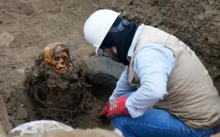 بالصدفة .. اكتشاف مومياء عمرها ألف عام أثناء عمليات حفر فى بيرو