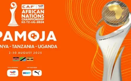 تنزانيا تواجه بوركينا فاسو فى افتتاح أمم أفريقيا للمحليين