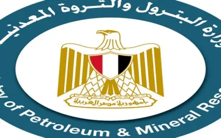 البترول: وصول وحدة التغييز العائمة “إينرجيوس فورس” إلى ميناء العقبة