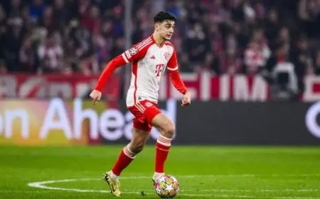 بايرن ميونخ يفقد خدمات بافلوفيتش بسبب الإصابة