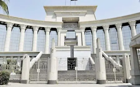 الدستورية تعلن أن قرار وزاري لتنظيم إنهاء عقود الوكالة التجارية يخالف الدستور