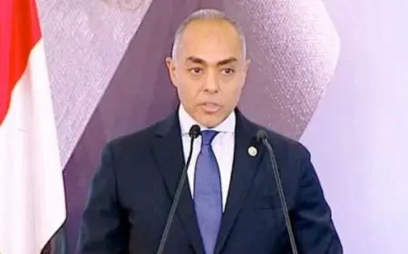 الهيئة الوطنية للانتخابات تؤكد أن مشاركة المواطنين بالخارج في انتخابات الشيوخ تعكس مدى الوعي الوطني