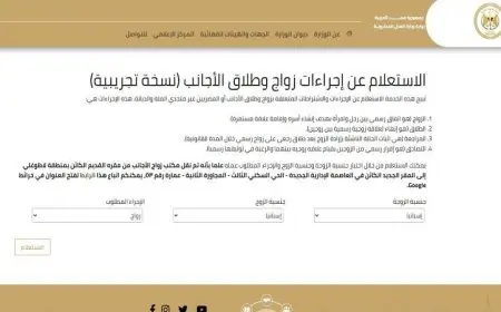 العدل تطلق خدمة رقمية جديدة للاستعلام عن مستندات زواج وطلاق الأجانب