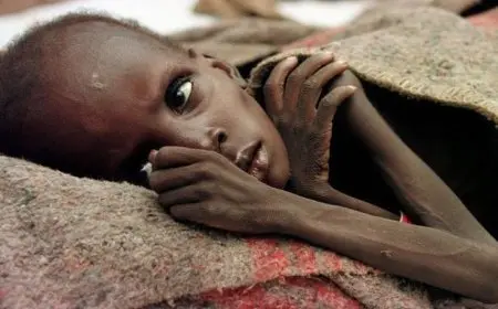 واشنطن بوست تكشف عن تخزين مساعدات أمريكية تكفي لإعالة 60 مليون شخص