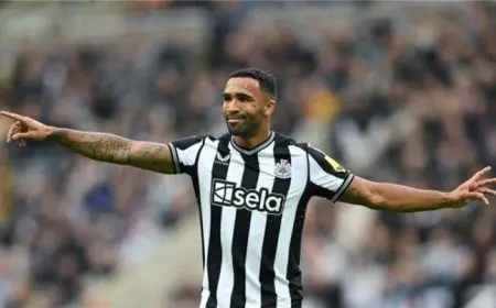 تقارير: ويلسون مهاجم نيوكاسل يقترب من الانتقال إلى وست هام