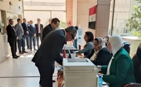 انتخابات الشيوخ بالخارج تسير بسلاسة وبدء فرز الأصوات في 13 لجنة حسب الوطنية للانتخابات