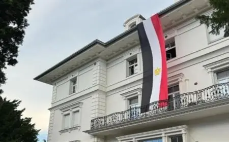 مساندة قوية من المصريين في النمسا للرئيس السيسي خلال مظاهرة حاشدة