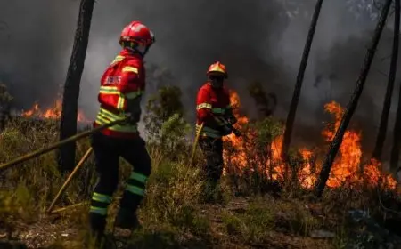 تحذير في البرتغال من خطر حرائق الغابات المحتملة