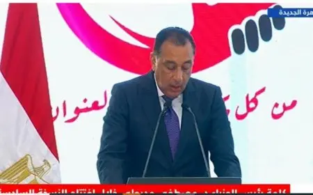 مؤتمر المصريين بالخارج يبدأ بمشاركة رئيس الوزراء ووزير الخارجية لتعزيز الروابط والتفاعل