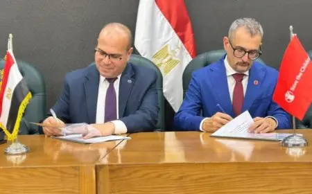 تعاون مشترك بين التضامن وإنقاذ الطفولة لتعزيز نظام الرعاية البديلة للأطفال