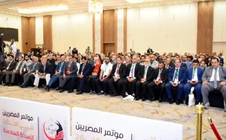 وزير العمل يؤكد التزام الحكومة بحماية حقوق وكرامة العامل المصري في الخارج