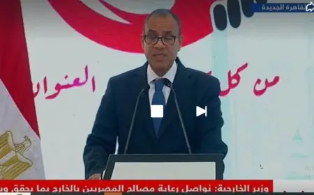 تعزيز الخدمات القنصلية بسرعة وزير الخارجية يؤكد استمرار الجهود لتحسينها